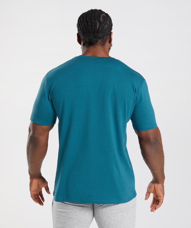 Men's Gymshark Crest T-Shirts Turquoise | NZ 2MWSFN